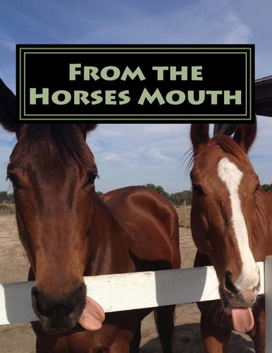 From the Horses Mouth A Collection of Short Stories about a Horse Rescue from the Horses Point of View