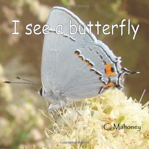 I See a Butterfly At the Rancho Santa Ana Botanical Gardens