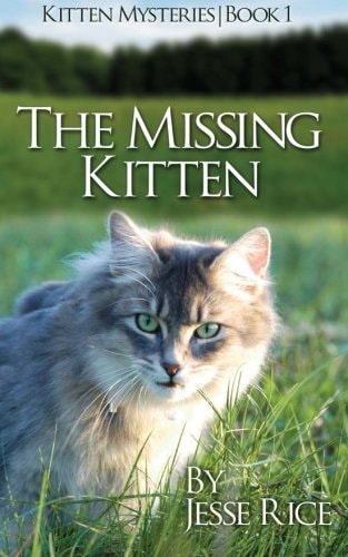 The Missing Kitten