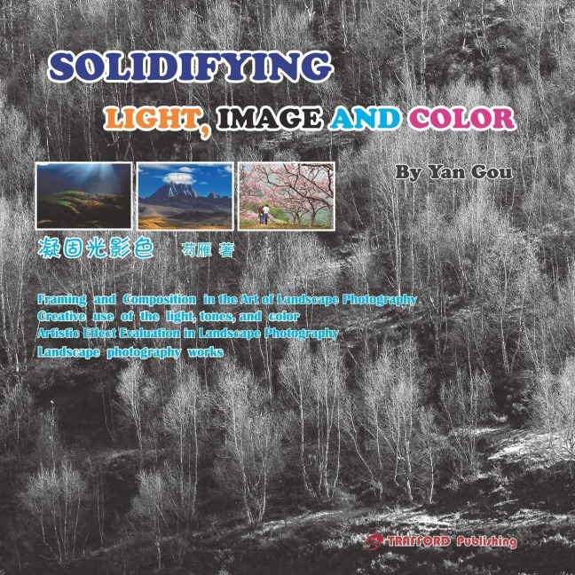 SOLIDIFYING LIGHT, IMAGE AND COLOR
