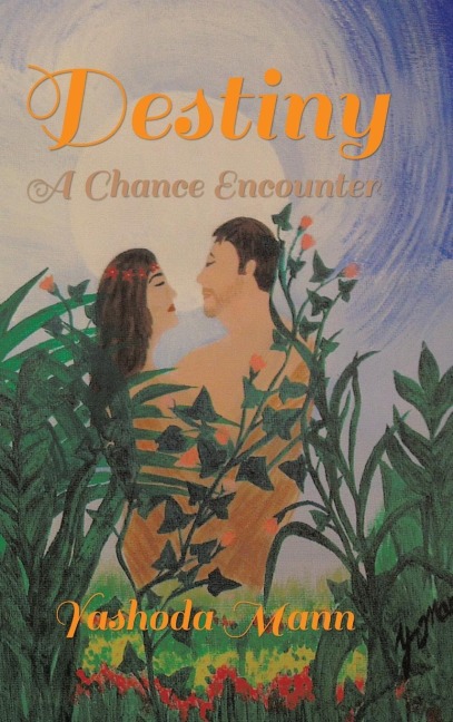 Destiny A Chance Encounter