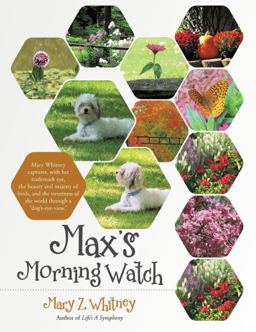 Maxs Morning Watch
