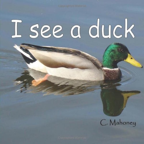 I See a Duck At Discovery Lake in San Marcos