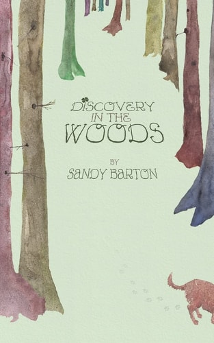 Discovery In The Woods A St. Patrick's Day Surprise