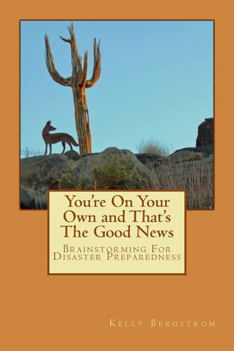 You're On Your Own and That's The Good News Brainstorming For Disaster Preparedness