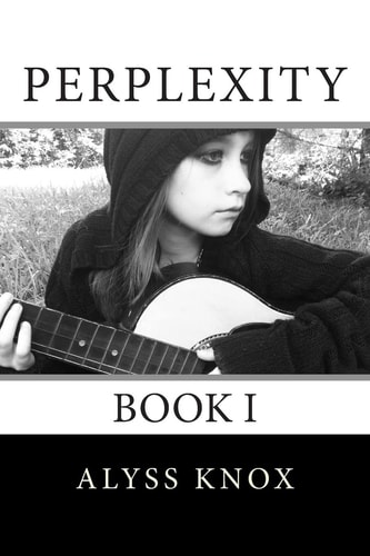 Perplexity Book 1