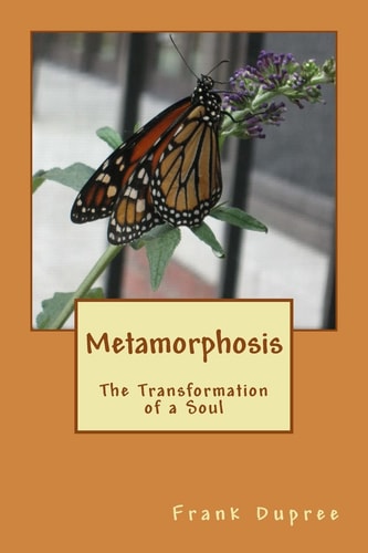 Metamorphosis The Transformation of a Soul