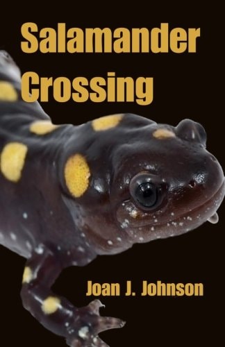 Salamander Crossing