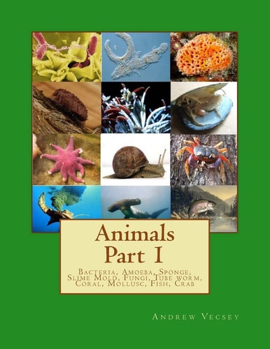Animals Part 1 Bacteria, Amoeba, Sponge, Slime Mold, Fungi, Tube Worm, Coral, Mollusc, Fish, Crab