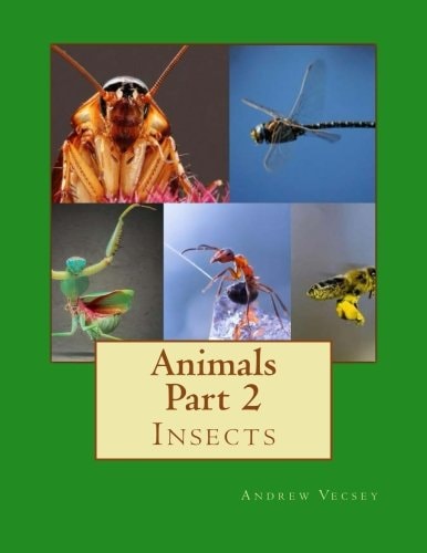 Animals Part 2 Insects