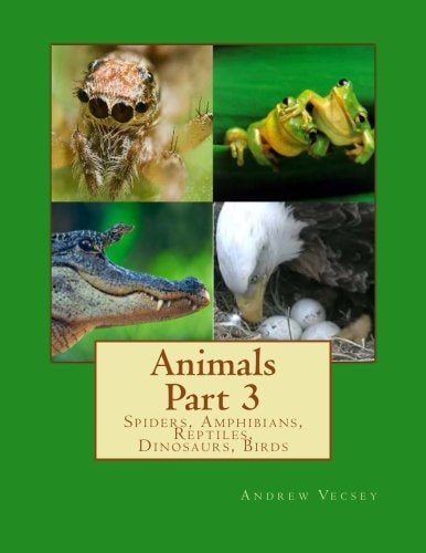 Animals Part 3 Spiders, Amphibians, Reptiles, Dinosaurs, Birds