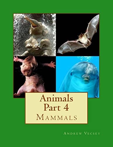 Animals Part 4 Mammals