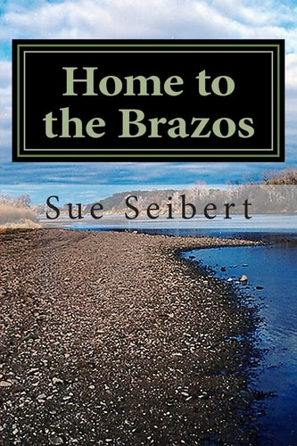 Home to the Brazos A Painted Post Mystery