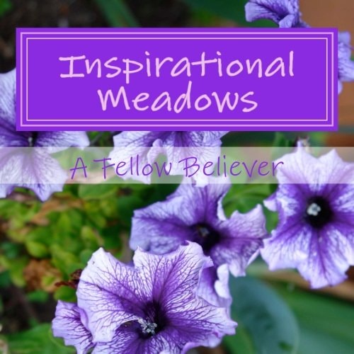 Inspirational Meadows