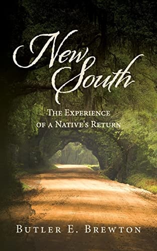 New South The Experience of a Native's Return