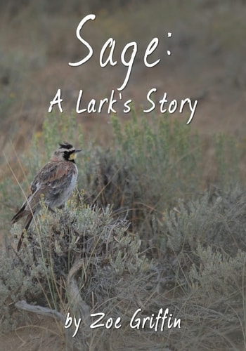 Sage A Lark's Story