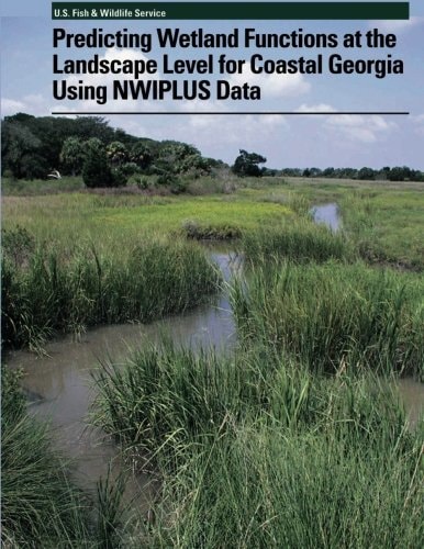 Predicting Wetland Functions at the Landscape Level for Coastal Georgia Using NWIPlus Data