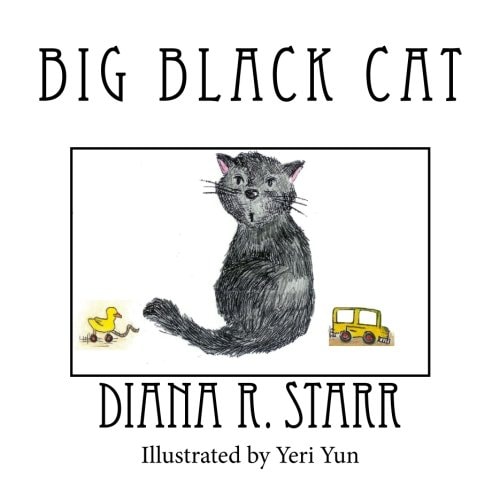 Big Black Cat