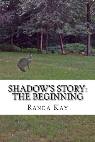 Shadow's Story The Beginning