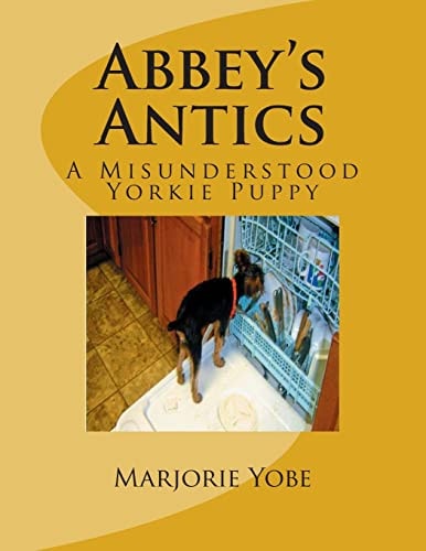 Abbey's Antics A Misunderstood Yorkie Puppy