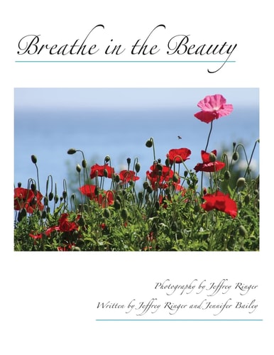 Breathe in the Beauty A Contemplative Photography Journey
