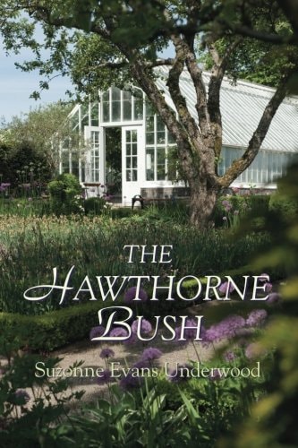 The Hawthorne Bush