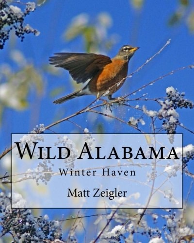 Wild Alabama Winter Haven
