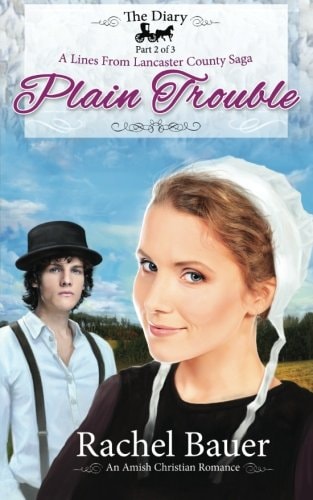 Plain Trouble The Diary 2 - a Lines from Lancaster County Saga