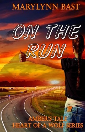 On The Run Amber's Tale