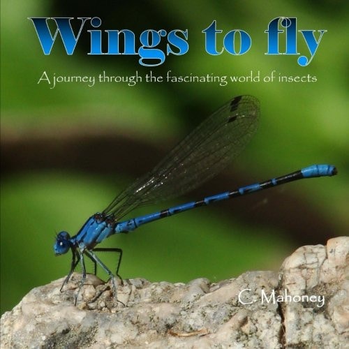 Wings to Fly A Journey Through the Fascinating World of Insects