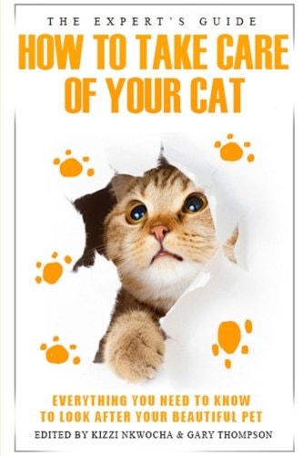 The Experts Guide How to Care for Your Cat