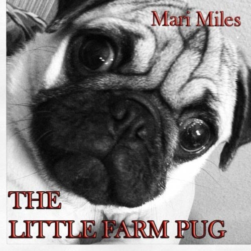 Little Farm Pug