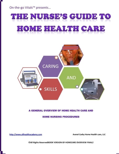 The Nurse's Guide to Home Health Care A Handbook for Nurses Who Are Ready for Positive Change
