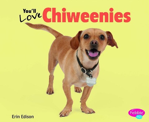 Youll Love Chiweenies