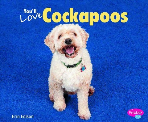 Youll Love Cockapoos