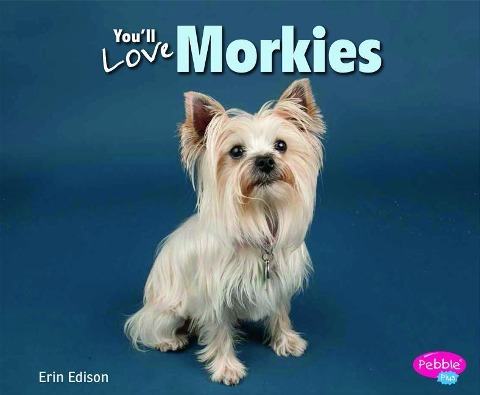 Youll Love Morkies