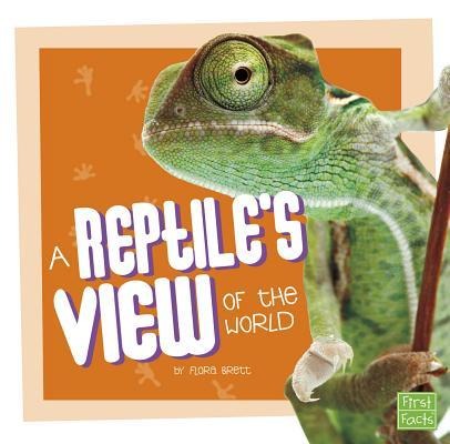 A Reptiles View of the World