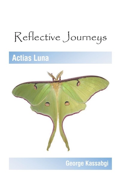 Reflective Journeys: Actias Luna