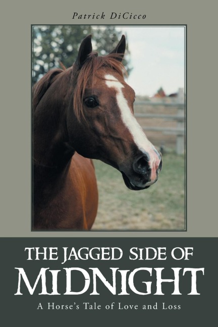 The Jagged Side of Midnight: A Horses Tale of Love and Loss