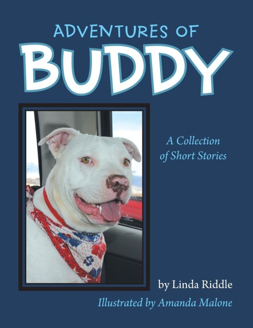 Adventures of Buddy: A Collection of Short Stories