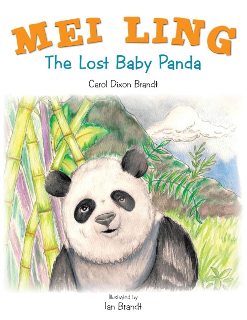 Mei Ling: The Lost Baby Panda
