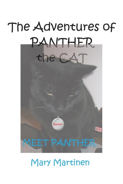 The Adventures of Panther the Cat: Meet Panther
