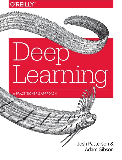 Deep Learning: A Practitioners Approach