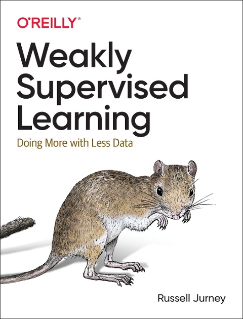 Practical Weak Supervision: Doing More with Less Data