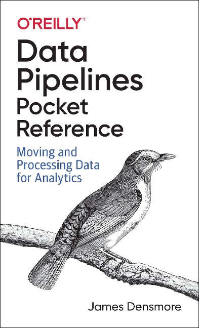 Data Pipelines Pocket Reference: Moving and Processing Data for Analytics