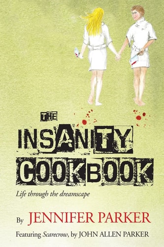 The Insanity Cookbook Life Through the Dreamscape