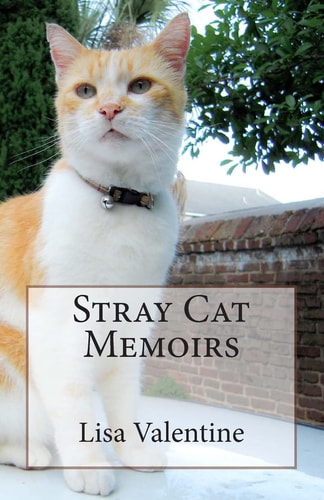 Stray Cat Memoirs