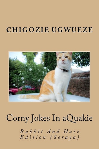Corny Jokes In AQuakie Rabbit And Hare Edition (Soraya)
