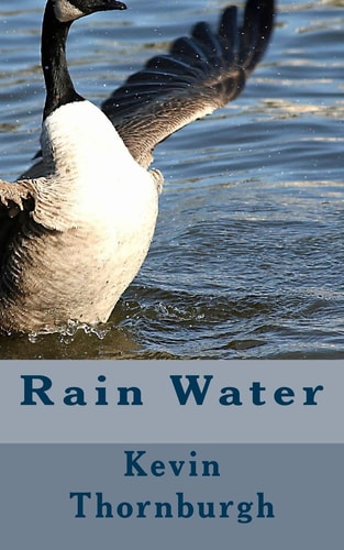 Rain Water Poetry