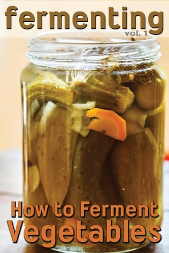 Fermenting How to Ferment Vegetables